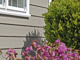 Everlast Composite Siding