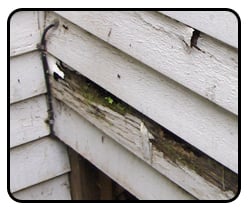 rotted siding