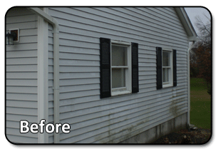 Palmer siding Contractor